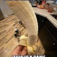 those boobs are real big 45 pics.html - 45 HD Photos | Premium Gallery 2021