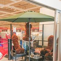 not as cool now huh video.html - 1 HD Video | Premium Gallery 2020