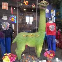 hottie fails are even more spectacular 29 gifs.html - 1 HD GIF | Premium Gallery 2021