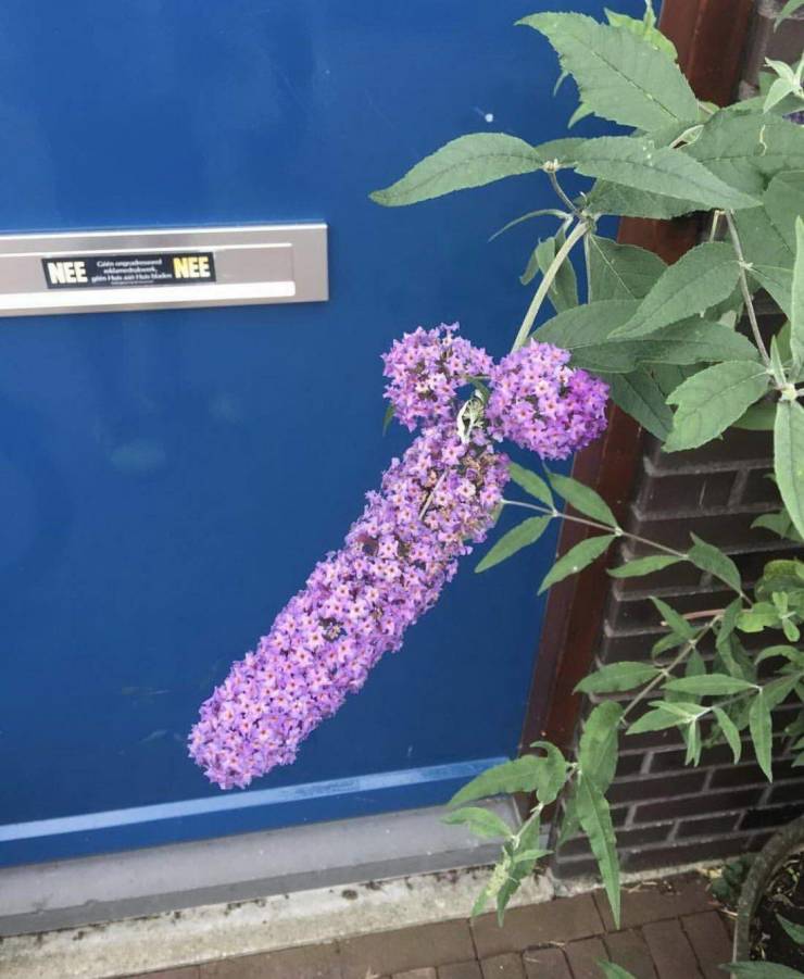 Dirty Mind, Come Here!