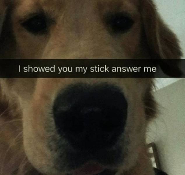 You’re Gonna Enjoy These NSFW Facts!