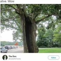 pierced and not hiding 36 pics.html - 36 HD Photos | Premium Gallery 2021