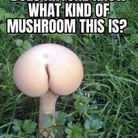 hot girls are here for you 32 gifs.html - 1 HD GIF | Premium Gallery 2020