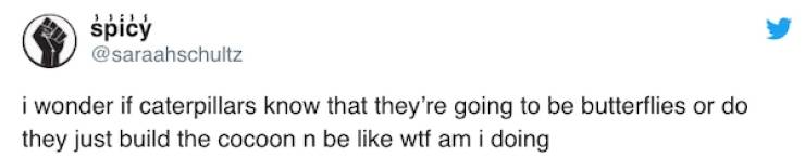 These Memes Are Kinda Stoned…