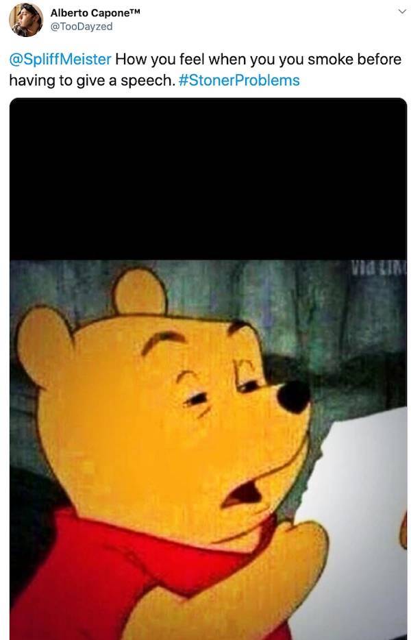 These Memes Are Kinda Stoned…