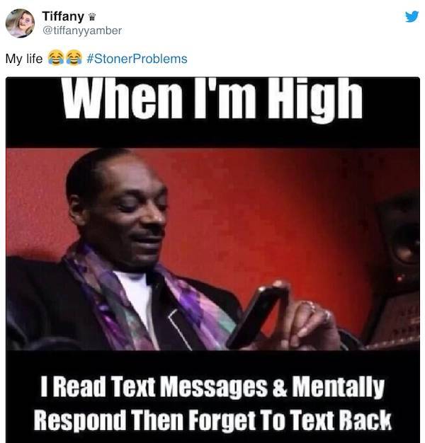 These Memes Are Kinda Stoned…