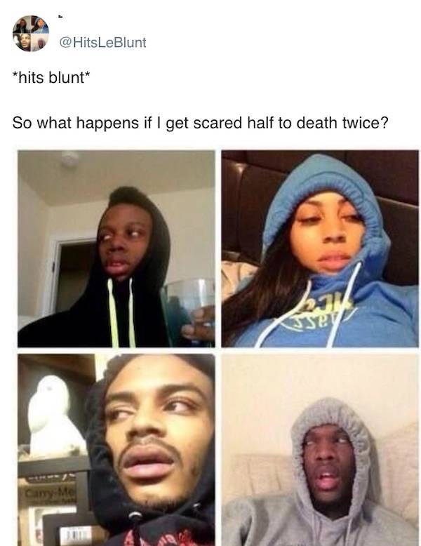 These Memes Are Kinda Stoned…