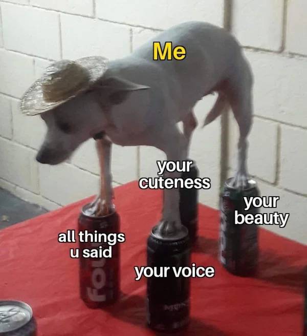 Your S.O. Will Definitely Love These Flirtatious Memes!