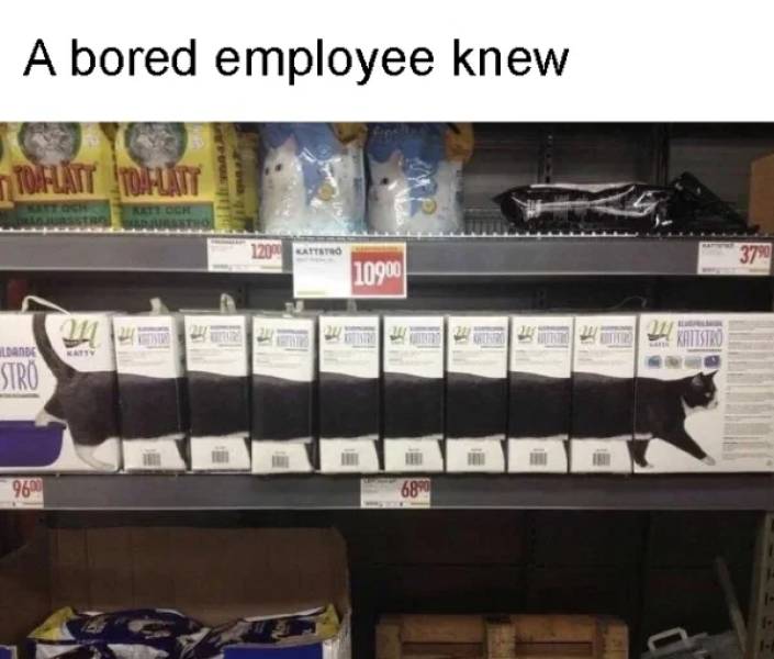 They Definitely Knew…