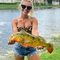 destroy the bras 44 pics.html - 44 HD Photos | Premium Gallery 2020