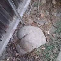 freaks freaks everywhere 73 pics.html - 73 HD Photos | Premium Gallery 2021