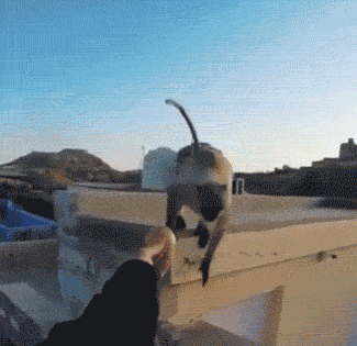 What Did You Expect Though…