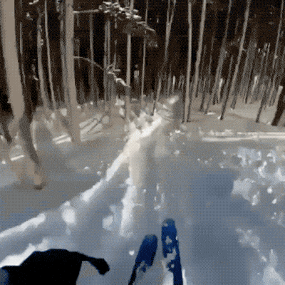 What Did You Expect Though…