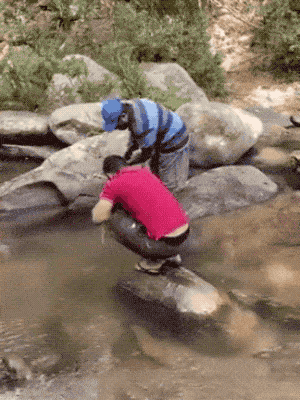 What Did You Expect Though…