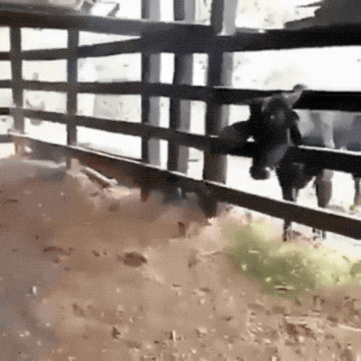 What Did You Expect Though…