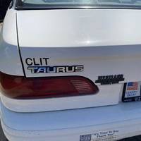 this is ana grozdanovic new serbian parliamentary 21 pics 1 gif.html - 21 HD GIF | Premium Gallery 2020