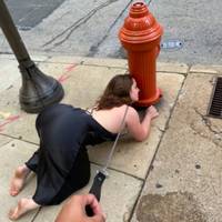 freaks freaks everywhere 73 pics.html - 73 HD Photos | Premium Gallery 2021