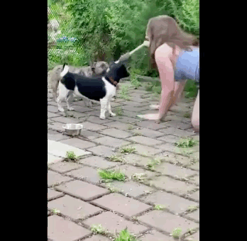 This Girl’s Job Title Is “Dog”…