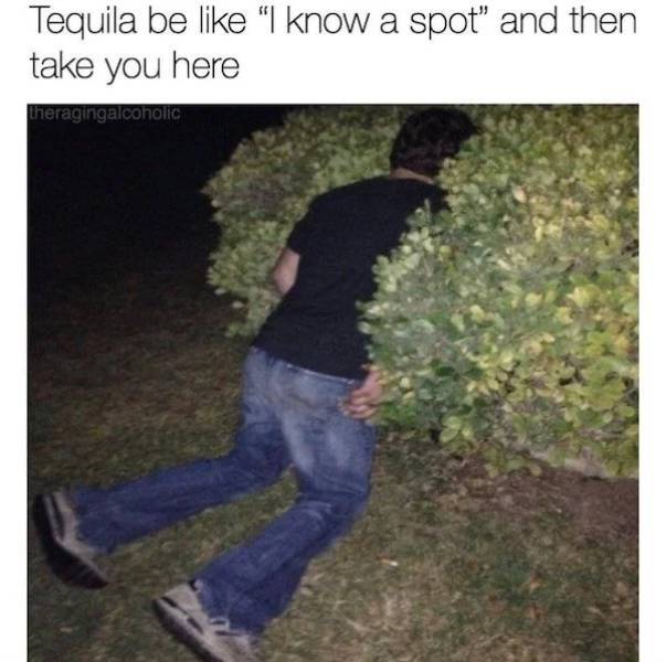 Need Some Salt With These Tequila Memes?