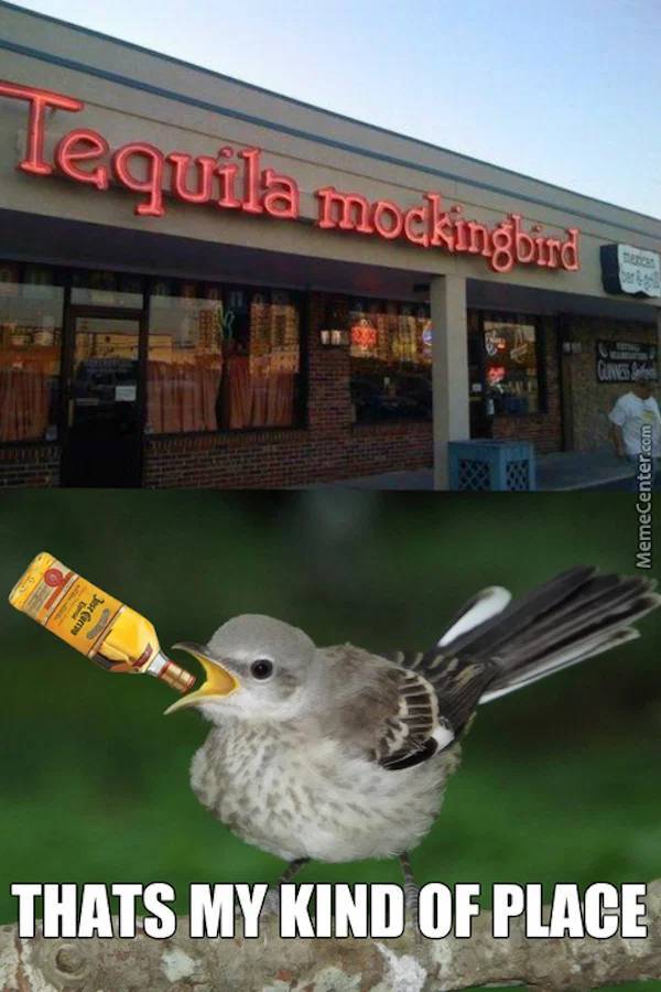 Need Some Salt With These Tequila Memes?