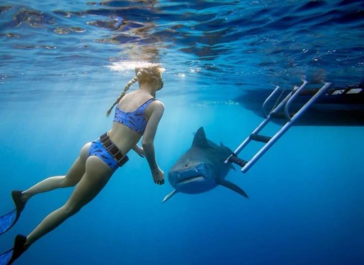 grownup corner 66 pics 9.html - 66 HD Photos | Premium Gallery 2020