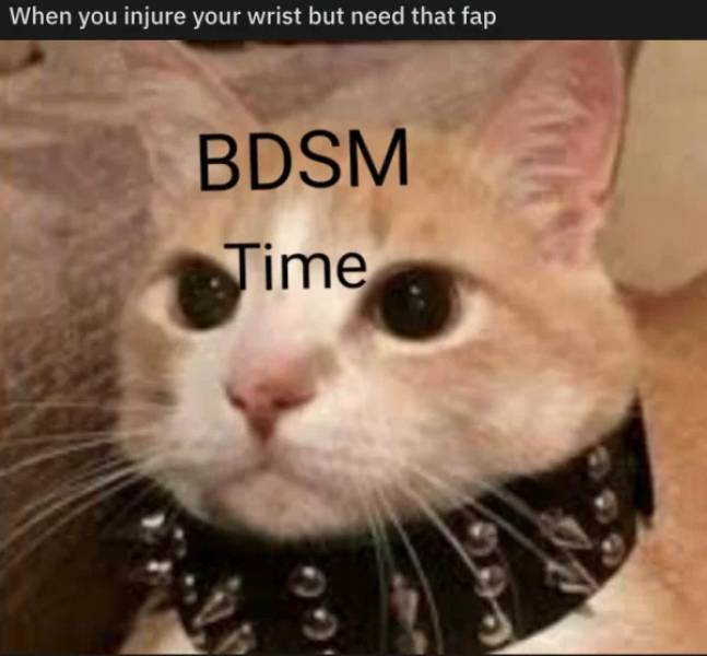 Want Some Spicy Sex Memes?