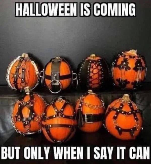 Want Some Spicy Sex Memes?