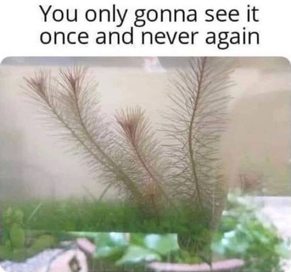 Dirty Mind, Come Here!