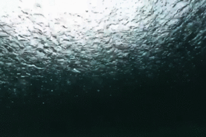 hot girls are here for you 32 gifs 8.html - 1 HD GIF | Premium Gallery 2020