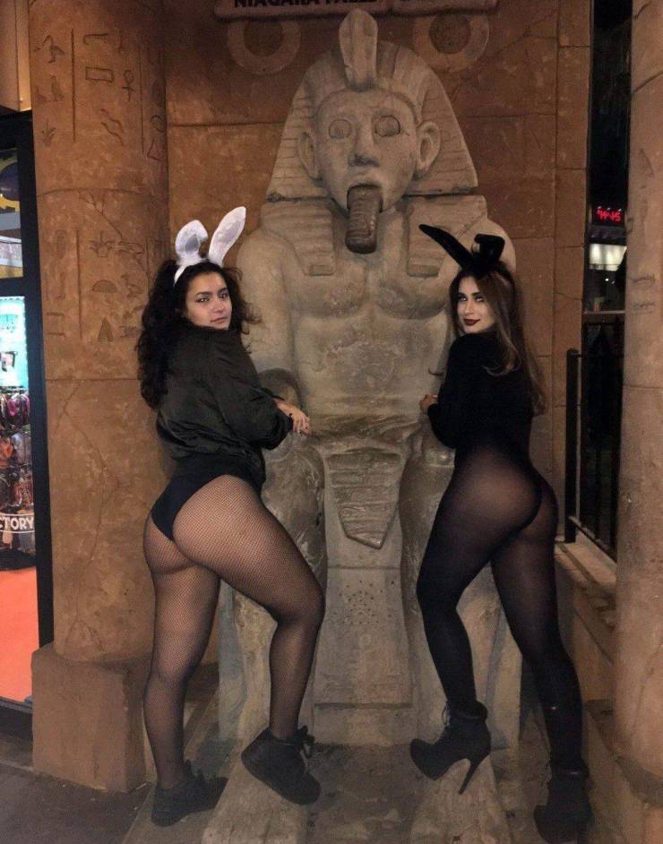 grownup corner 62 pics 3.html - 62 HD Photos | Premium Gallery 2020