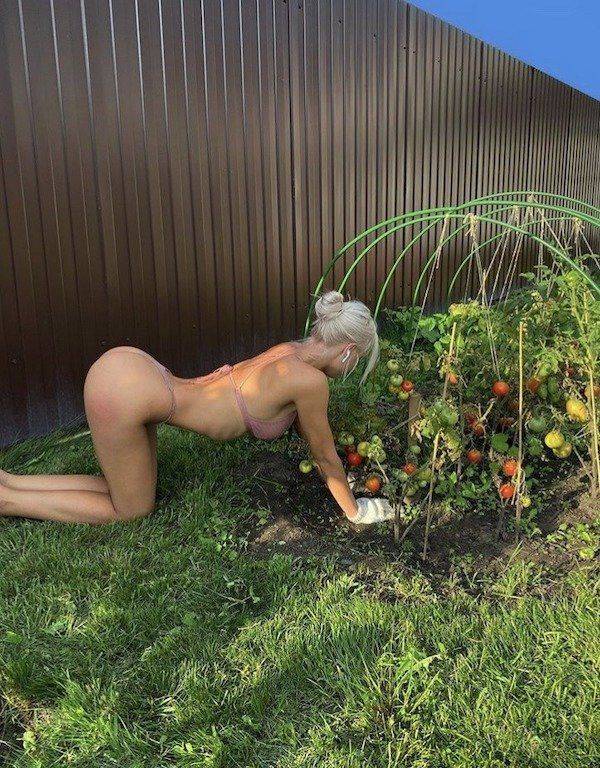 grownup corner 62 pics 3.html - 62 HD Photos | Premium Gallery 2020