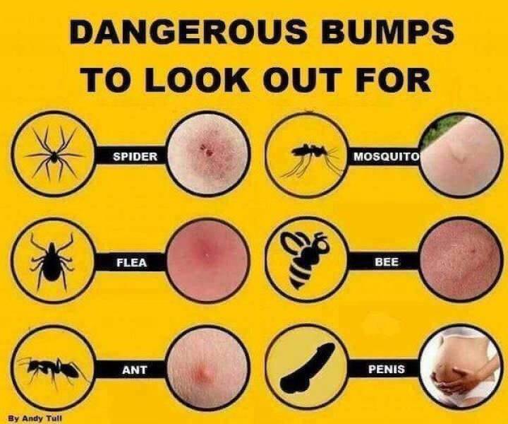 Dirty Mind, Come Here!