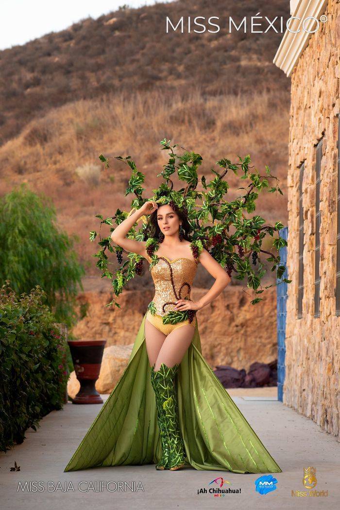 2020 “Miss Mexico” Contestants In National Dresses