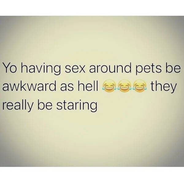 These Sex Memes Are Dirty!