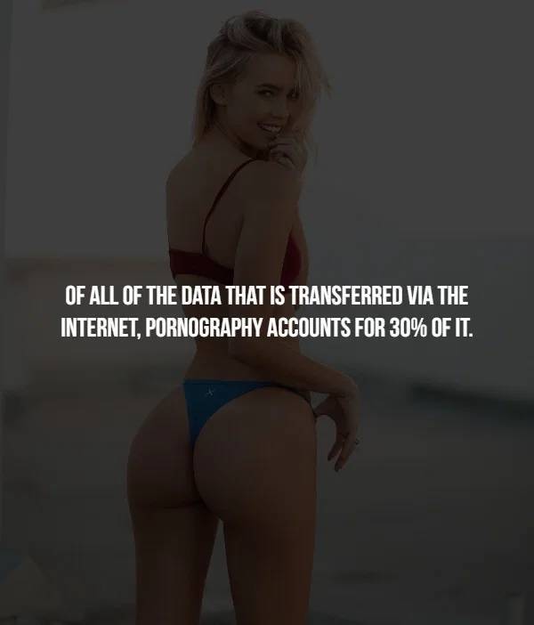 Here’s Some Knowledge About… Porn