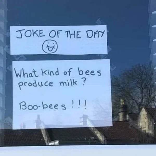 These Sex Memes Are Kinda Hard