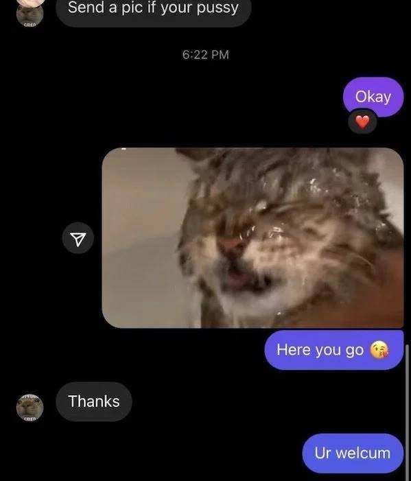 These DMs Are 100% Crazy!