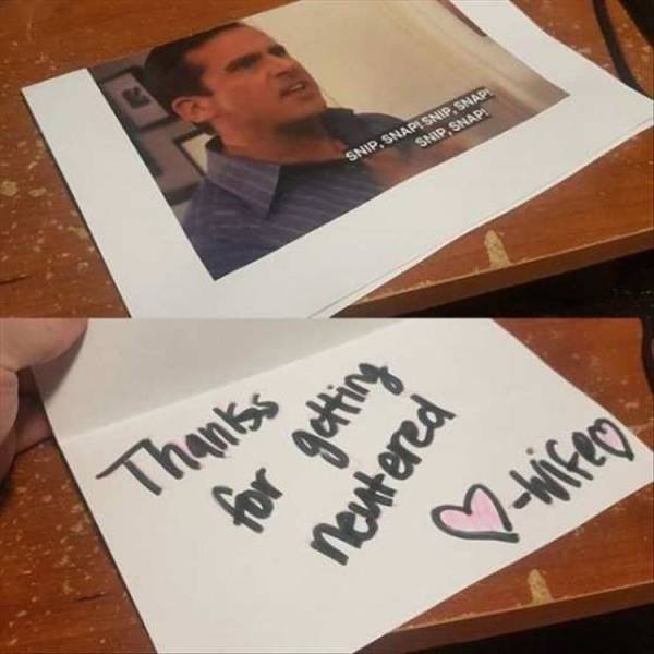 The Definition Of A Bad Day