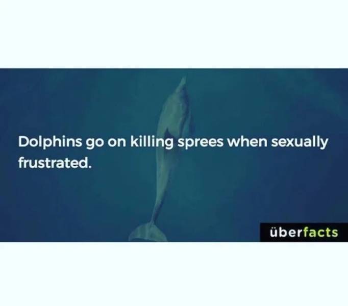 Sexual Frustration Is Real…