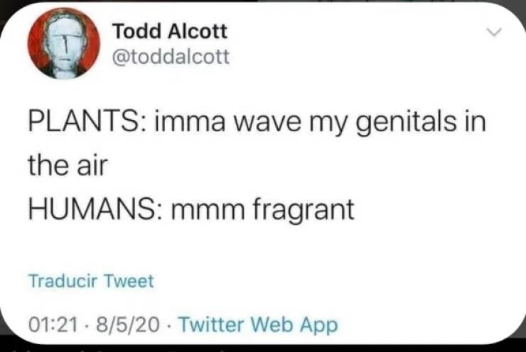 Everything Is Wrong About These Pictures…