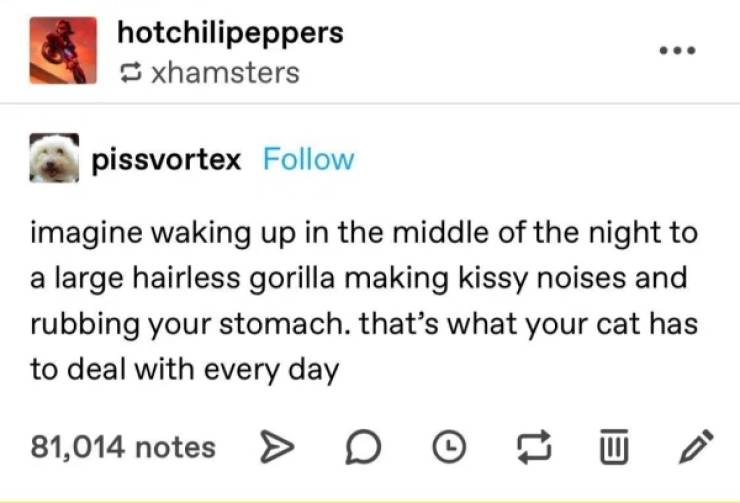 Everything Is Wrong About These Pictures…