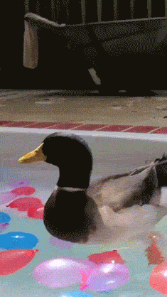 you can fail even if youre hot 26 gifs 5.html - 1 HD GIF | Premium Gallery 2020