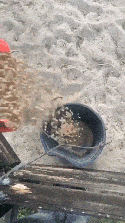 you can fail even if youre hot 26 gifs 5.html - 1 HD GIF | Premium Gallery 2020