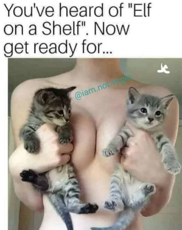 Oh, These Sweet & Dirty Sex Memes…