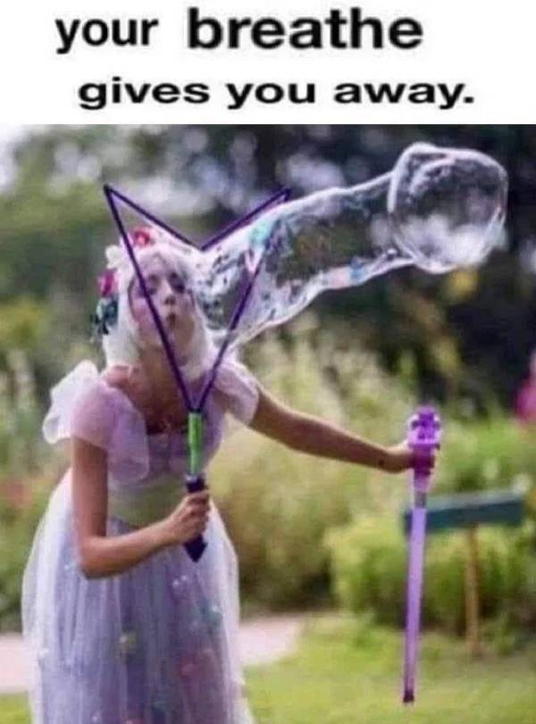 Oh, These Sweet & Dirty Sex Memes…