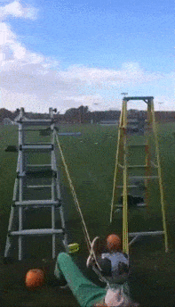 Wanna Know Some NSFW Facts?