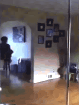 pole dancing is not as easy as it looks 19 gifs 2.html - 1 HD GIF | Premium Gallery 2020