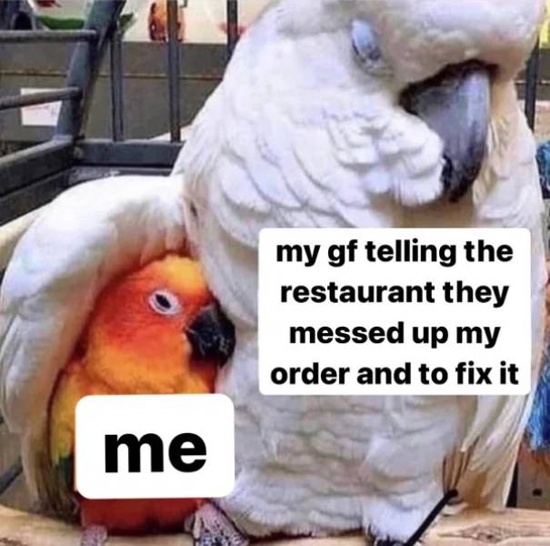 Real Life Can Be Such A Meme…