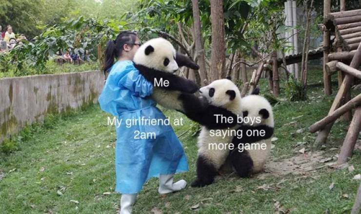 Real Life Can Be Such A Meme…