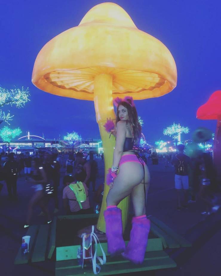 grownup corner 66 pics 31.html - 66 HD Photos | Premium Gallery 2020